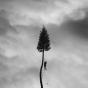 Manchester Orchestra, A Black Mile To The Surface, album reveiw