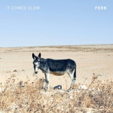 FERN, It Comes Slow, indie music, shoe gaze