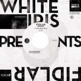 Album Review, FIDLAR, DIYDUI, Punk, Surf Punk, White Iris Records