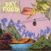 palehound, dry, food, album review, indie, garage